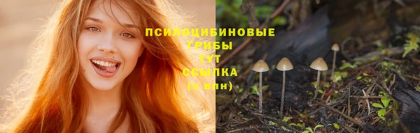 твердый Богданович