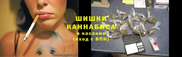 твердый Богданович