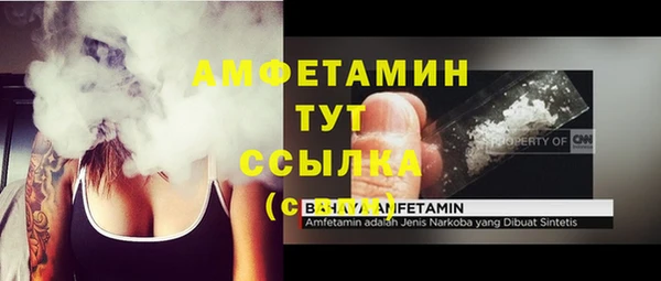 твердый Богданович