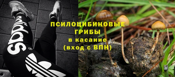 прущий лед Богородицк