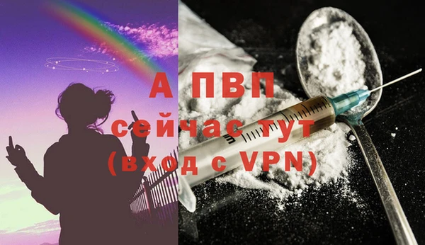 твердый Богданович