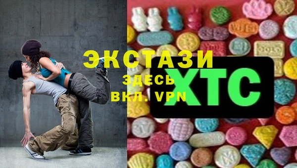 твердый Богданович