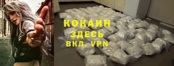 прущий лед Богородицк