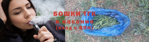 твердый Богданович